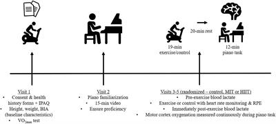 Acute Aerobic Exercise-Induced Motor Priming Improves Piano Performance and Alters Motor Cortex Activation